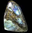 Lot: Lbs Free-Standing Polished Labradorite - Pieces #77652-3